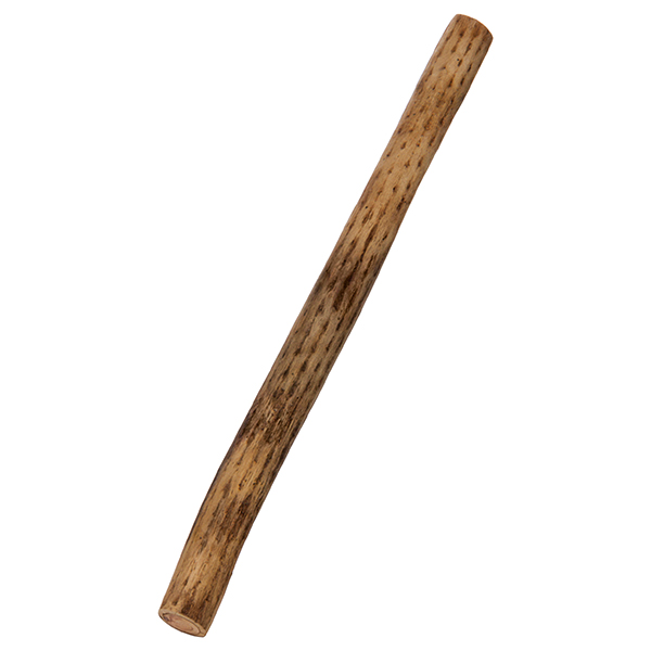 Afroton 50cm Rainmaker Cactus