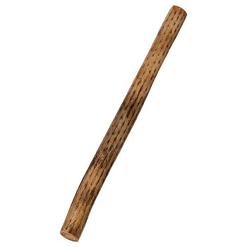Afroton 50cm Rainmaker Cactus
