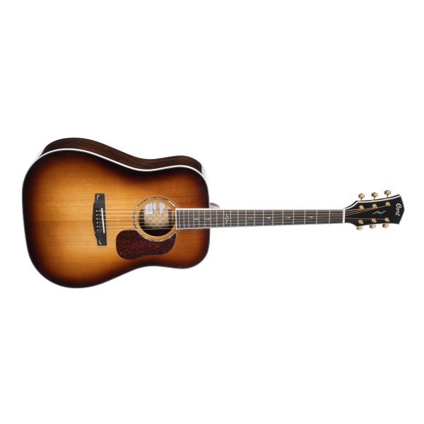 Cort Gold-D8 LB with bag
