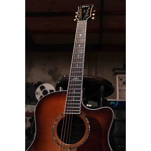 Cort Gold-D8 LB with bag - 10