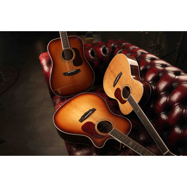 Cort Gold-D8 LB with bag - 11