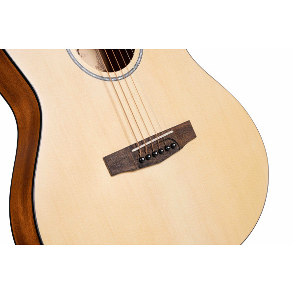 Cort Jade1 OP - 6