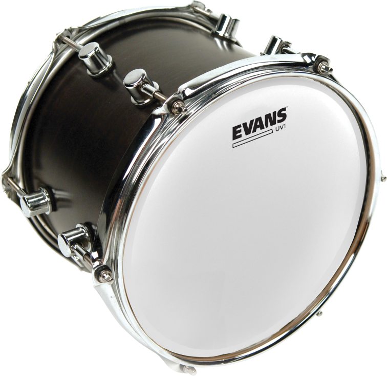 Evans B10UV1