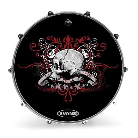 Evans 22" Ink22albelmt