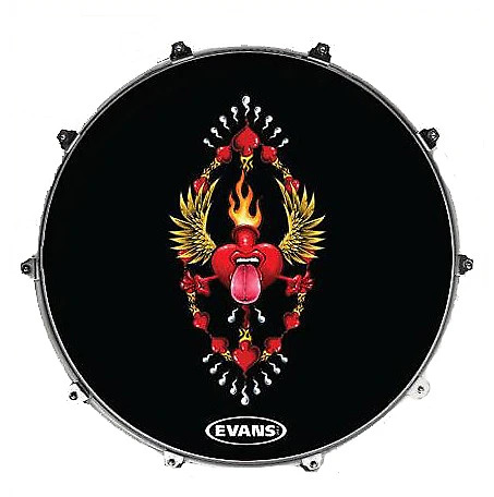 Evans 22" Ink22amplane