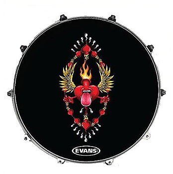 Evans 22" Ink22amplane