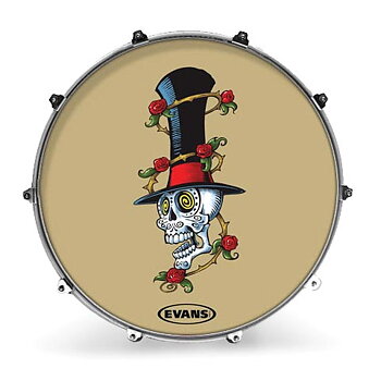 Evans 22" Ink22amskull