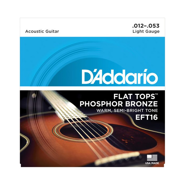 D'Addario EFT16