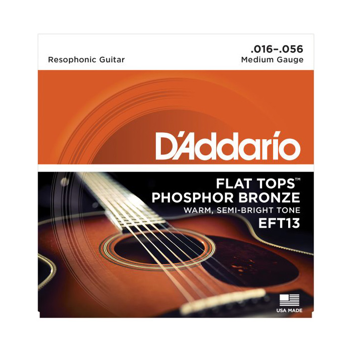 D'Addario EFT13