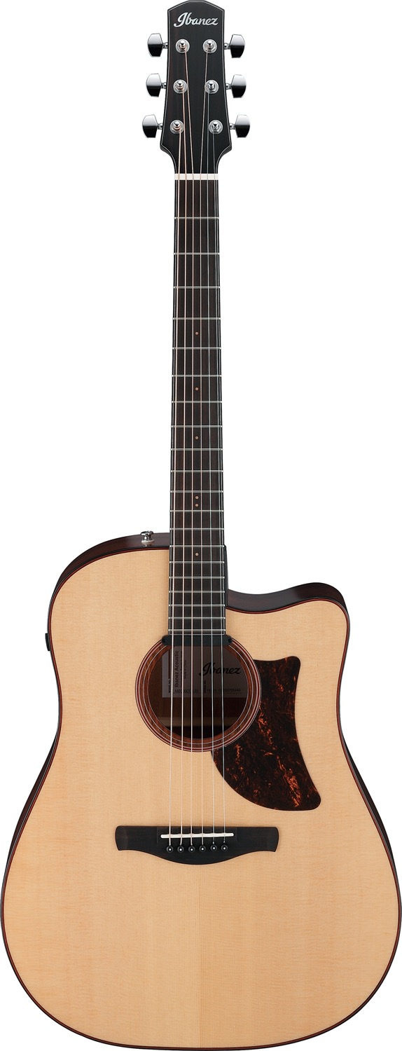 Ibanez AAD300CE-LGS - 9