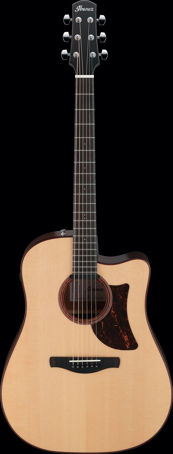 Ibanez AAD300CE-LGS - 10
