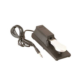Sustainpedal Flygelmodell