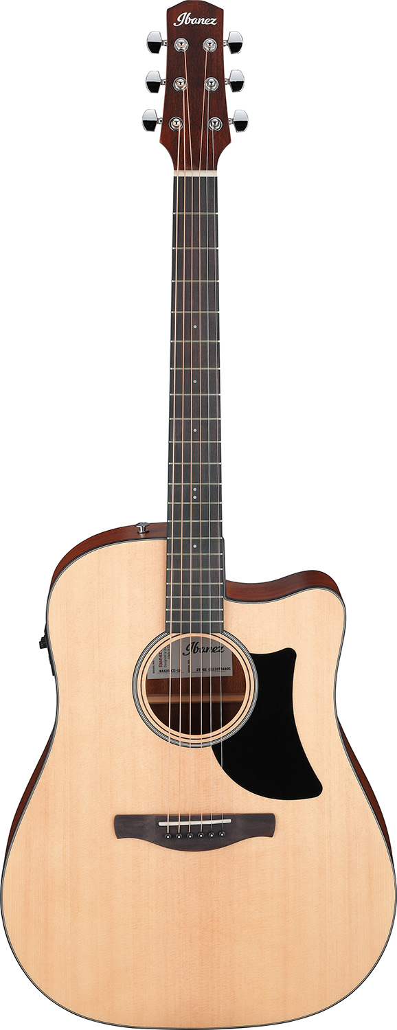 Ibanez AAD50CE-LG - 5
