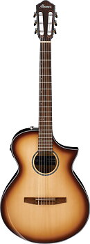 Ibanez AEWC300N-NNB