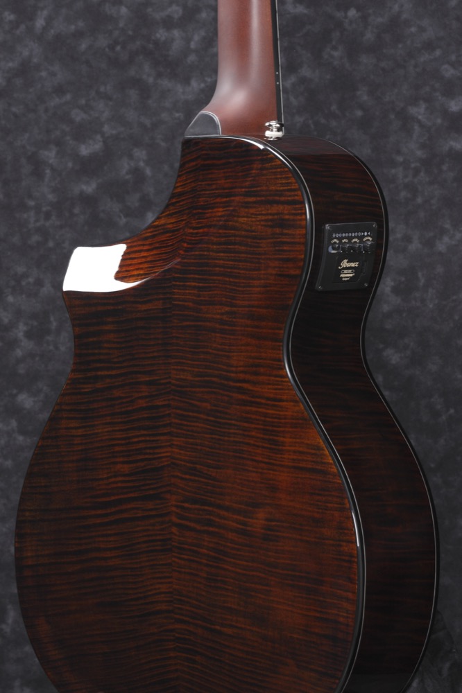 Ibanez AEWC300N-NNB - 3