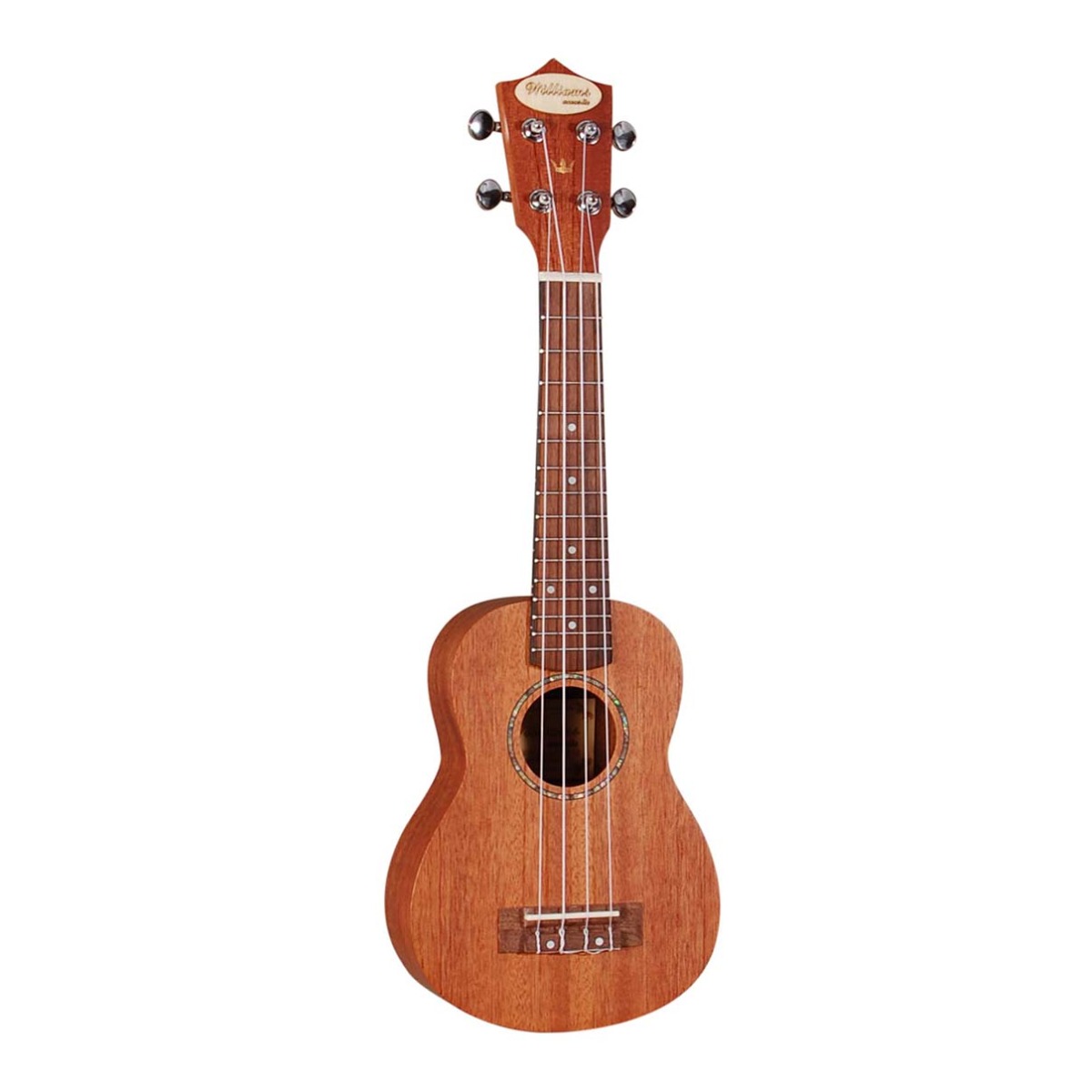 Williams Acoustic EU100S v2