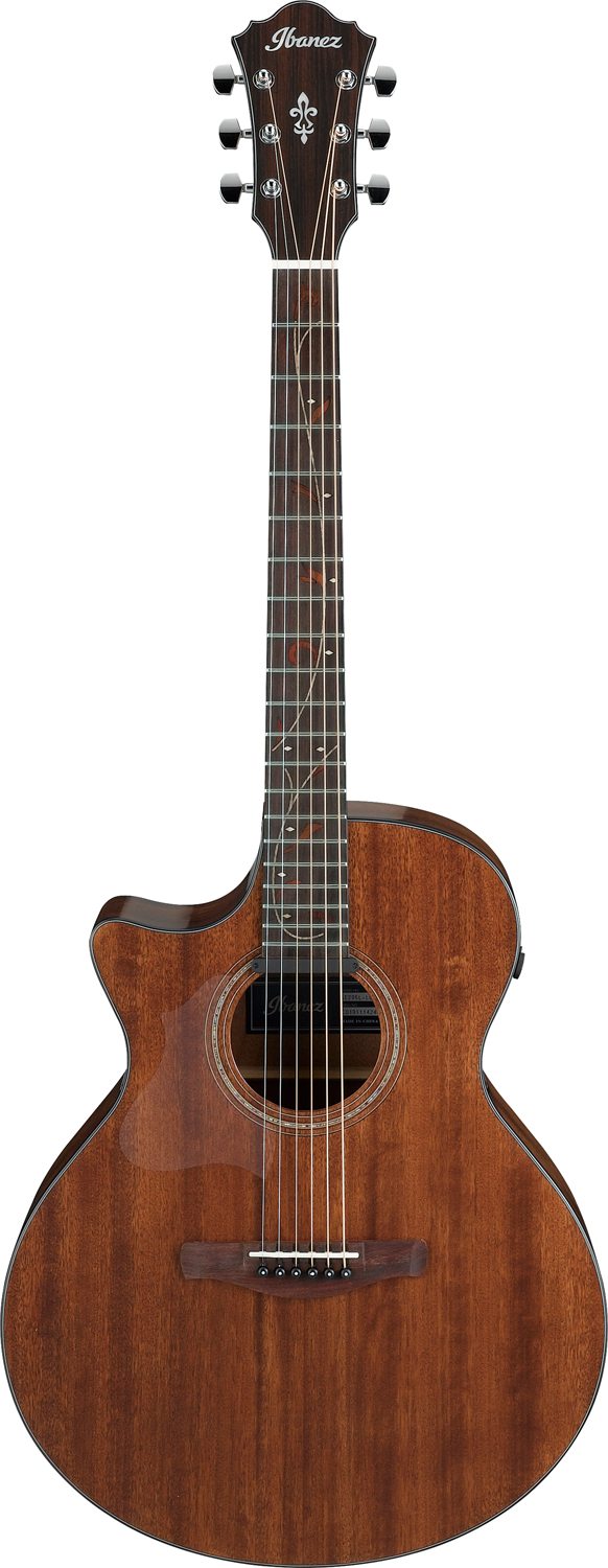 Ibanez AE295L-LGS - 6