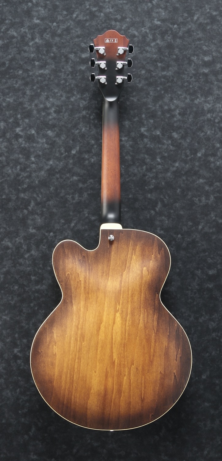 Ibanez AF55-TF - 5
