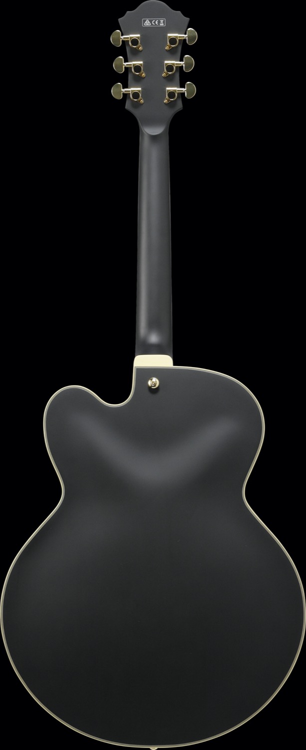 Ibanez AF75G-BKF - 4
