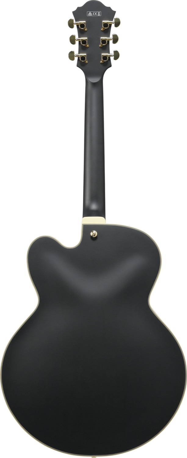 Ibanez AF75G-BKF - 3
