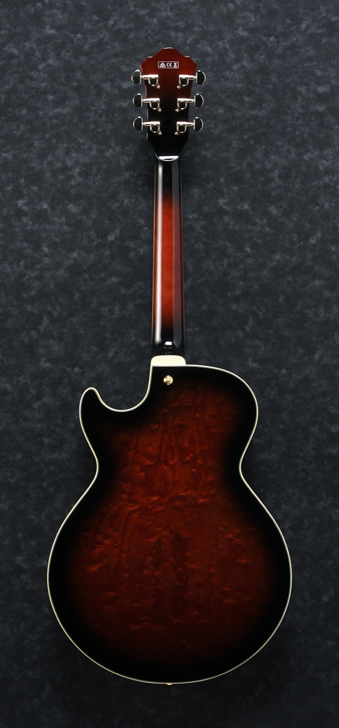 Ibanez AG95QA-DBS - 5