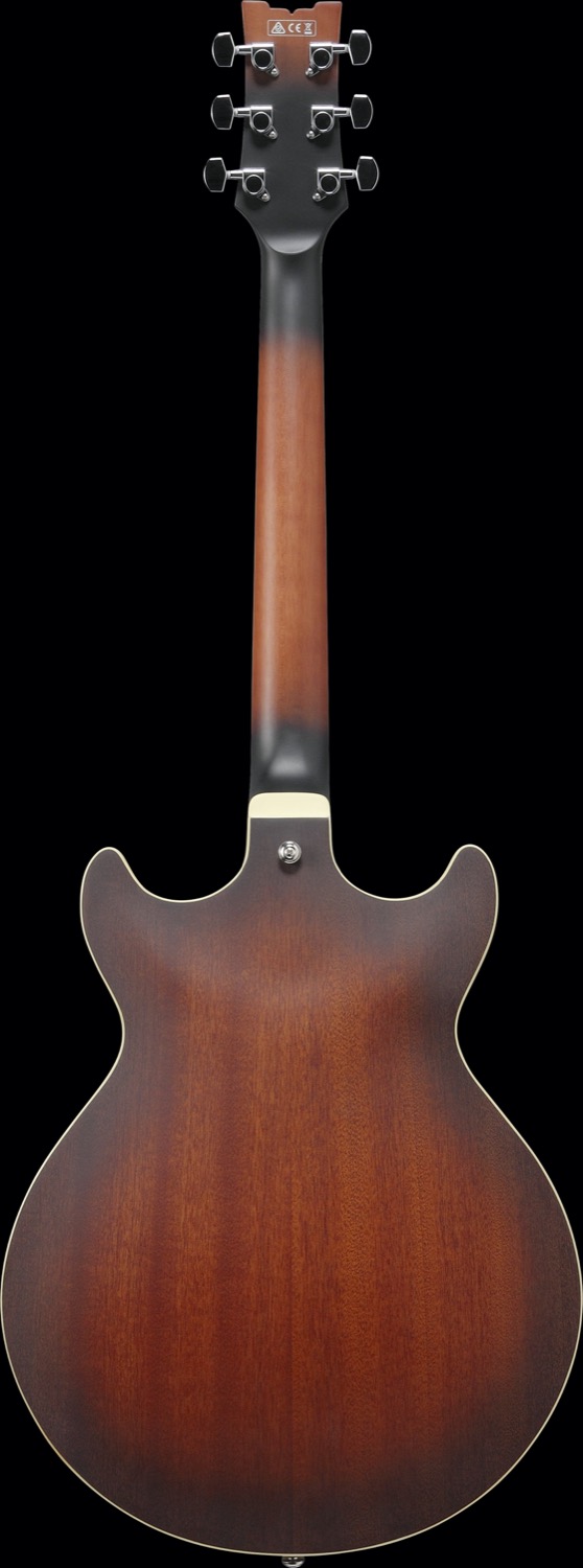 Ibanez AM53-TF - 4