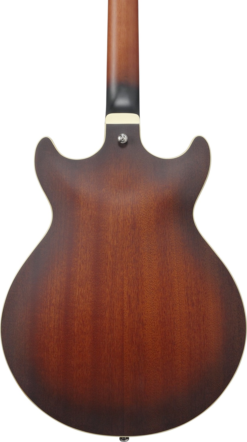 Ibanez AM53-TF - 7