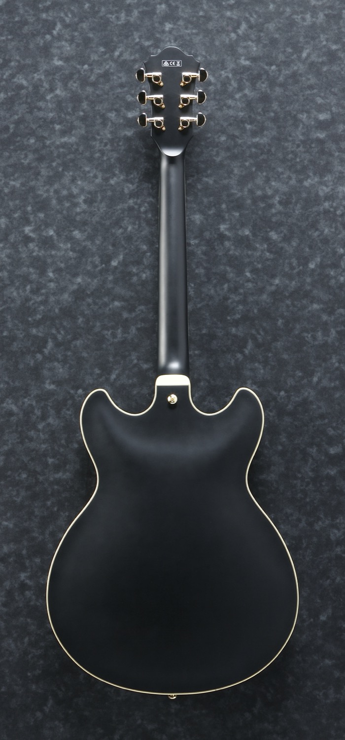 Ibanez AS73G-BKF - 2