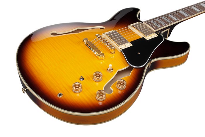 Ibanez JSM10EM-TTB - 2