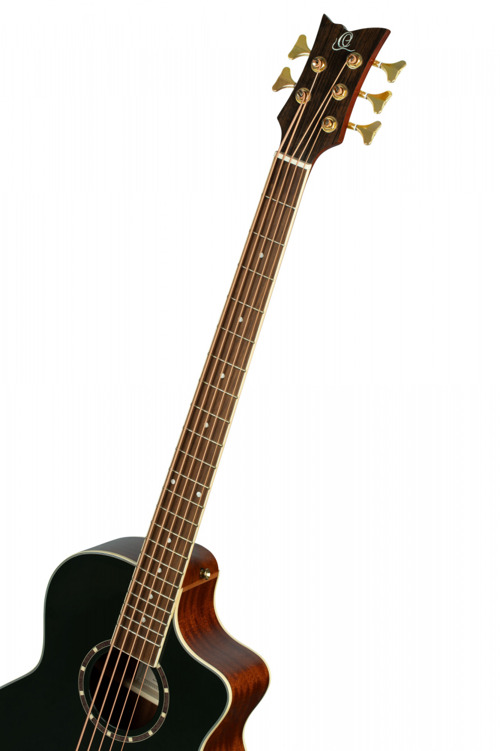 ORTEGA D8CE-5 - 4