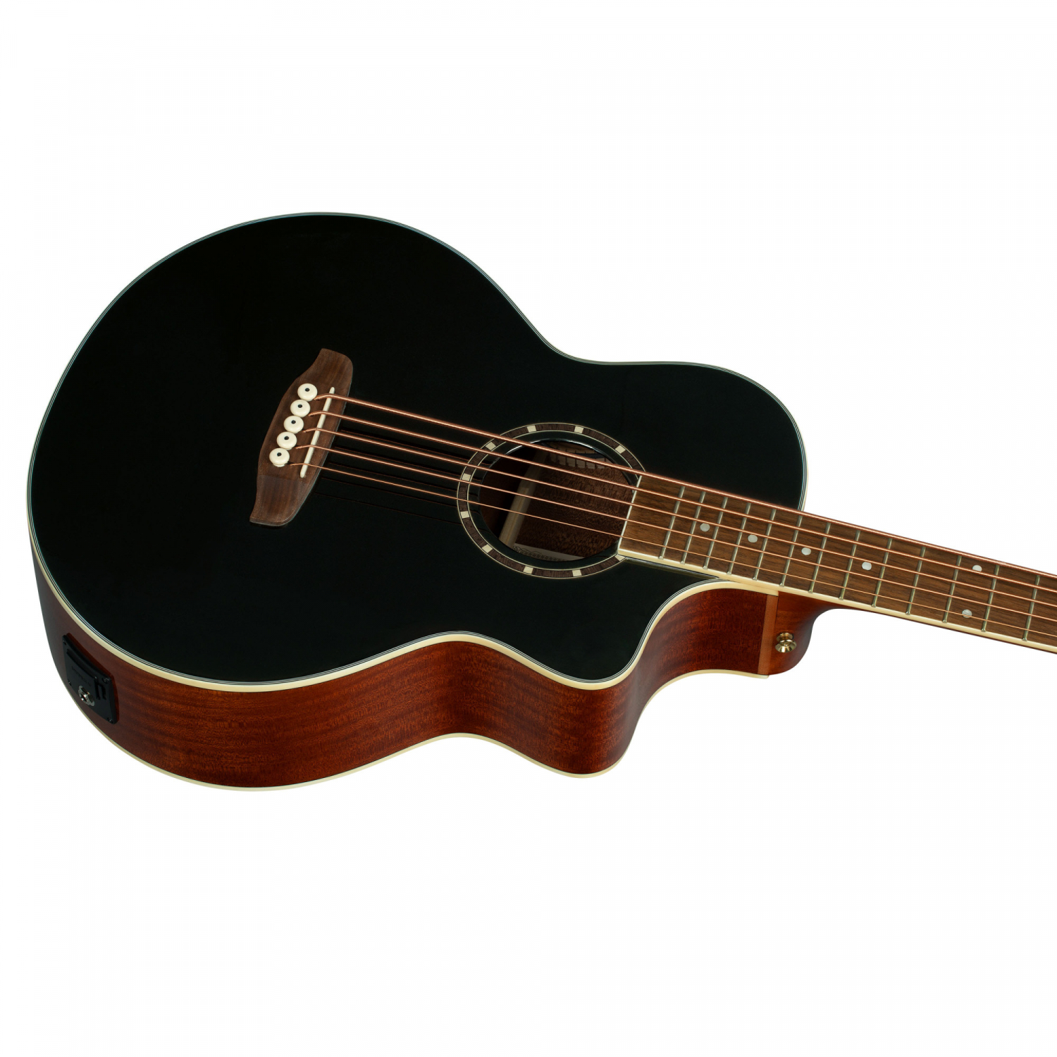ORTEGA D8CE-5 - 2