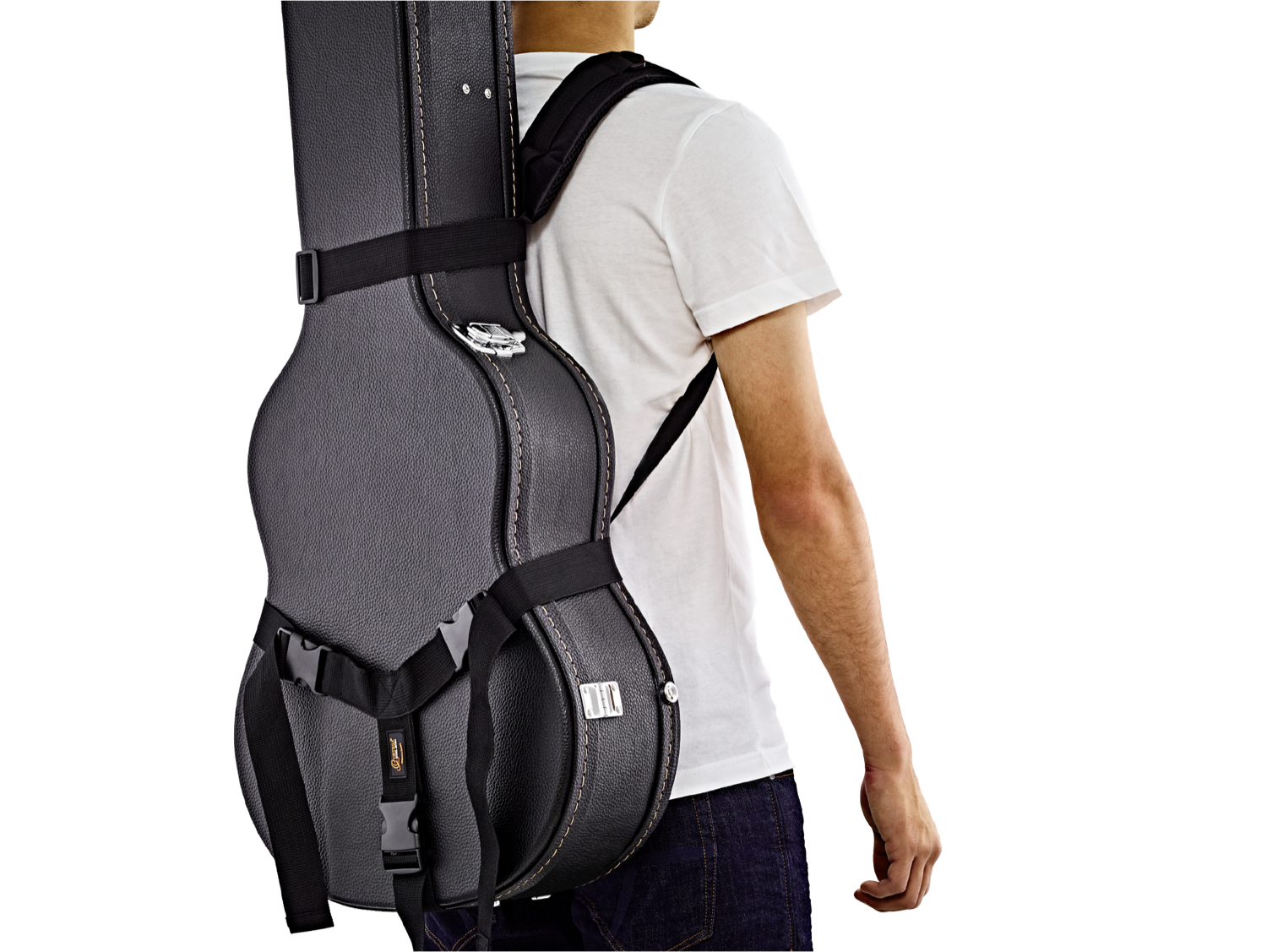 ORTEGA OCCSTD - 5