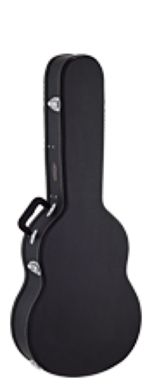 ORTEGA OCCSTD - 4