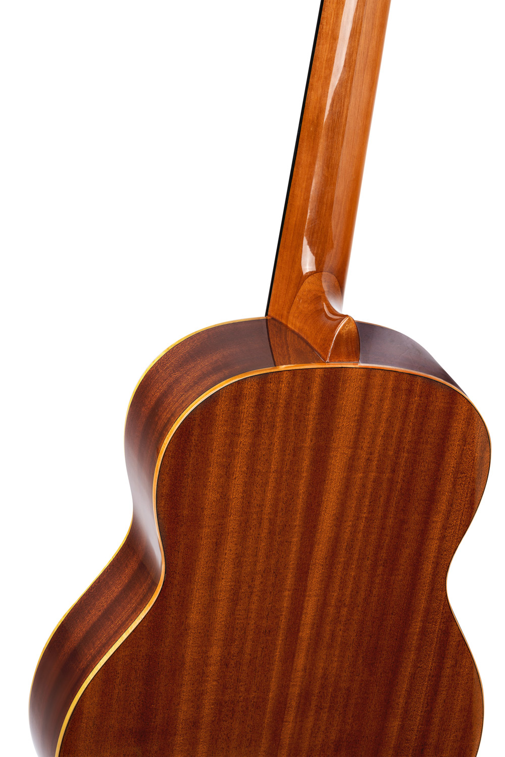 ORTEGA R121G - 4
