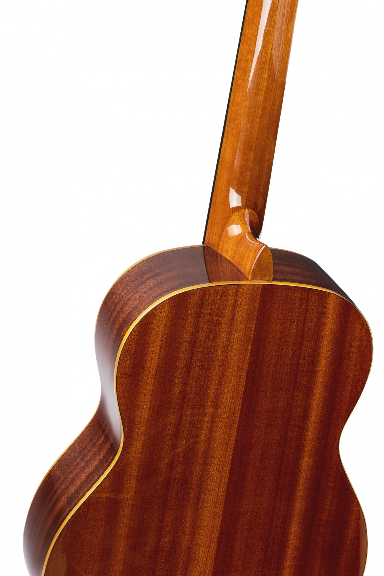 ORTEGA R122G - 4