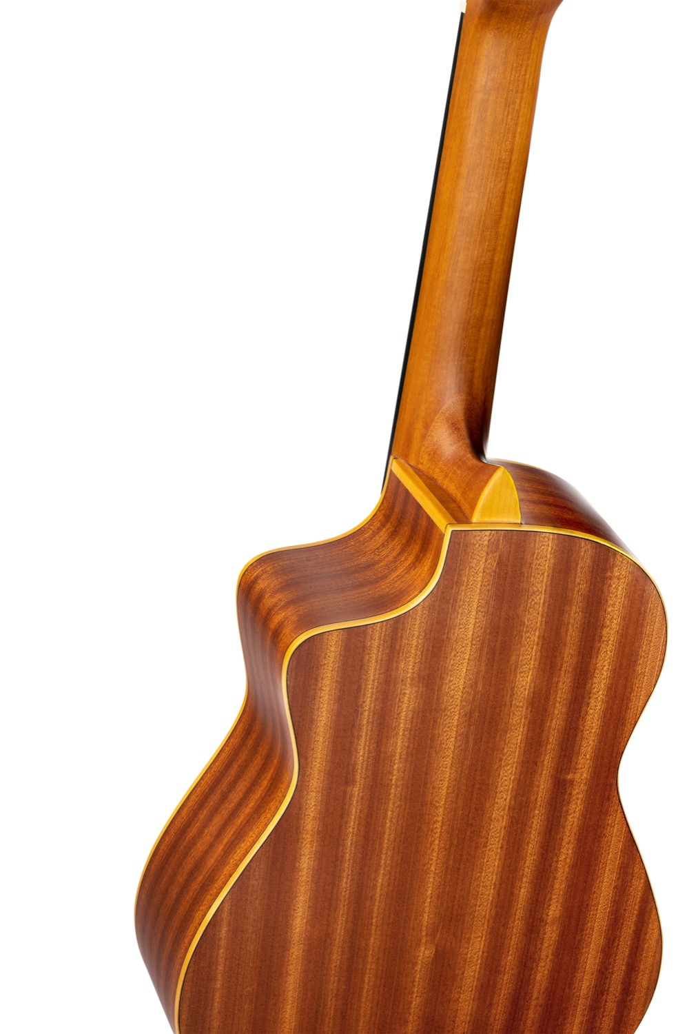 ORTEGA RQ25 - 6