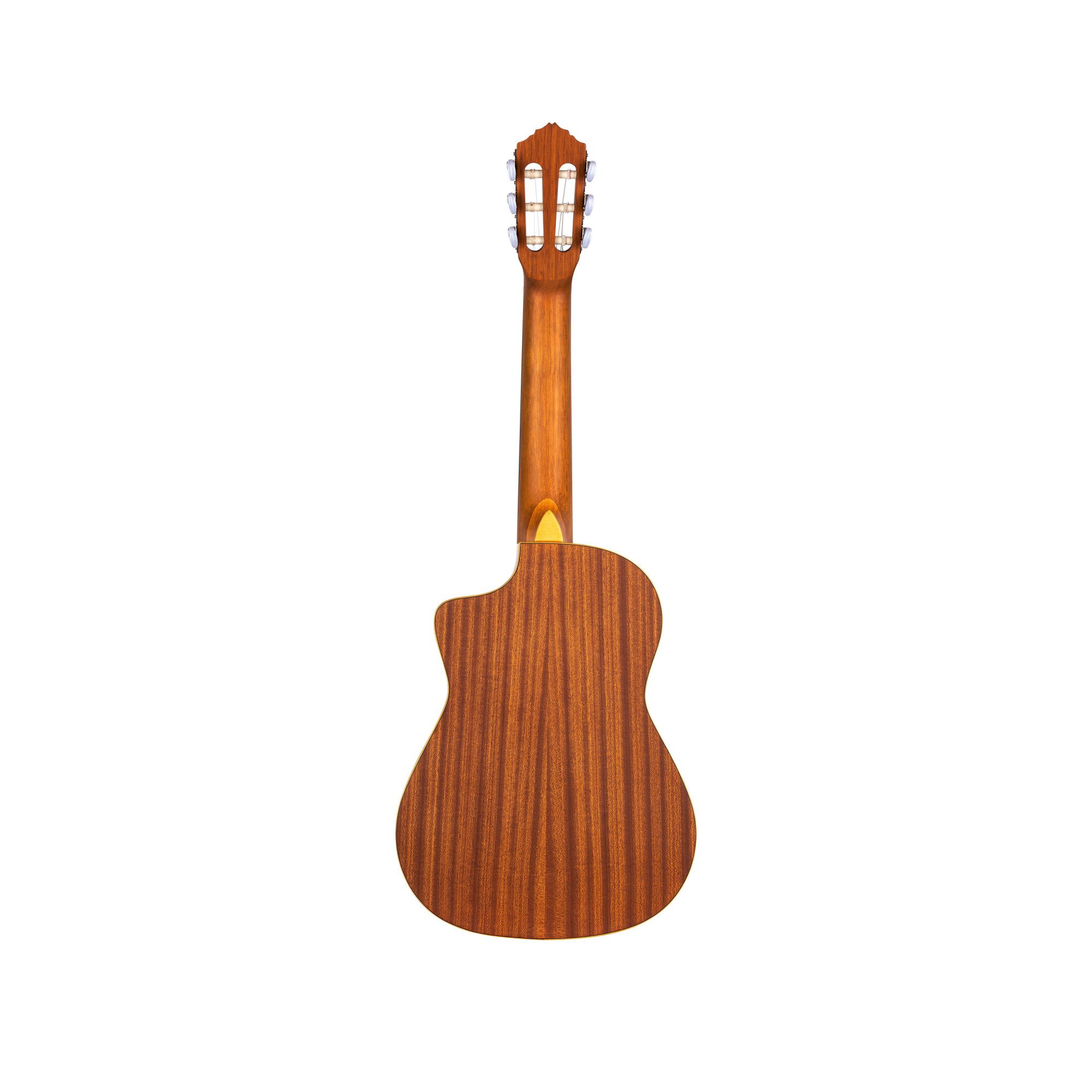 ORTEGA RQ38 - 4