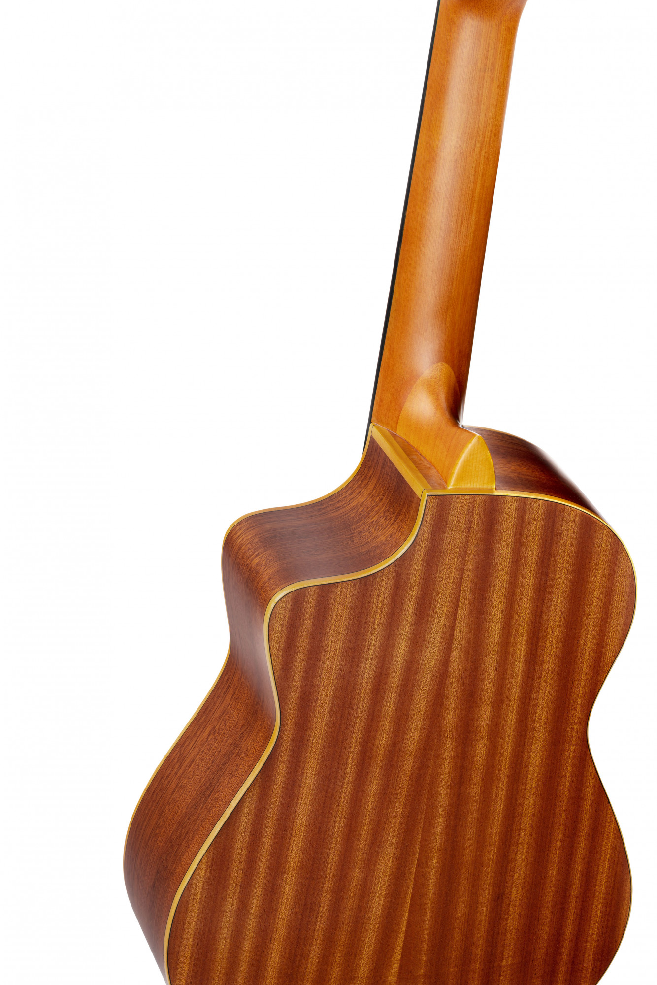 ORTEGA RQ38 - 6