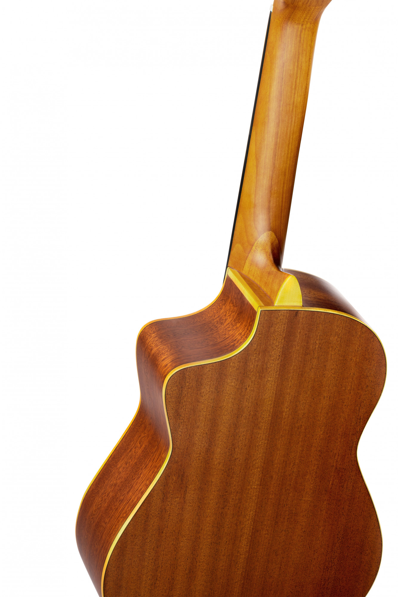 ORTEGA RQ39 - 6