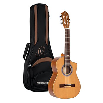ORTEGA RQ39
