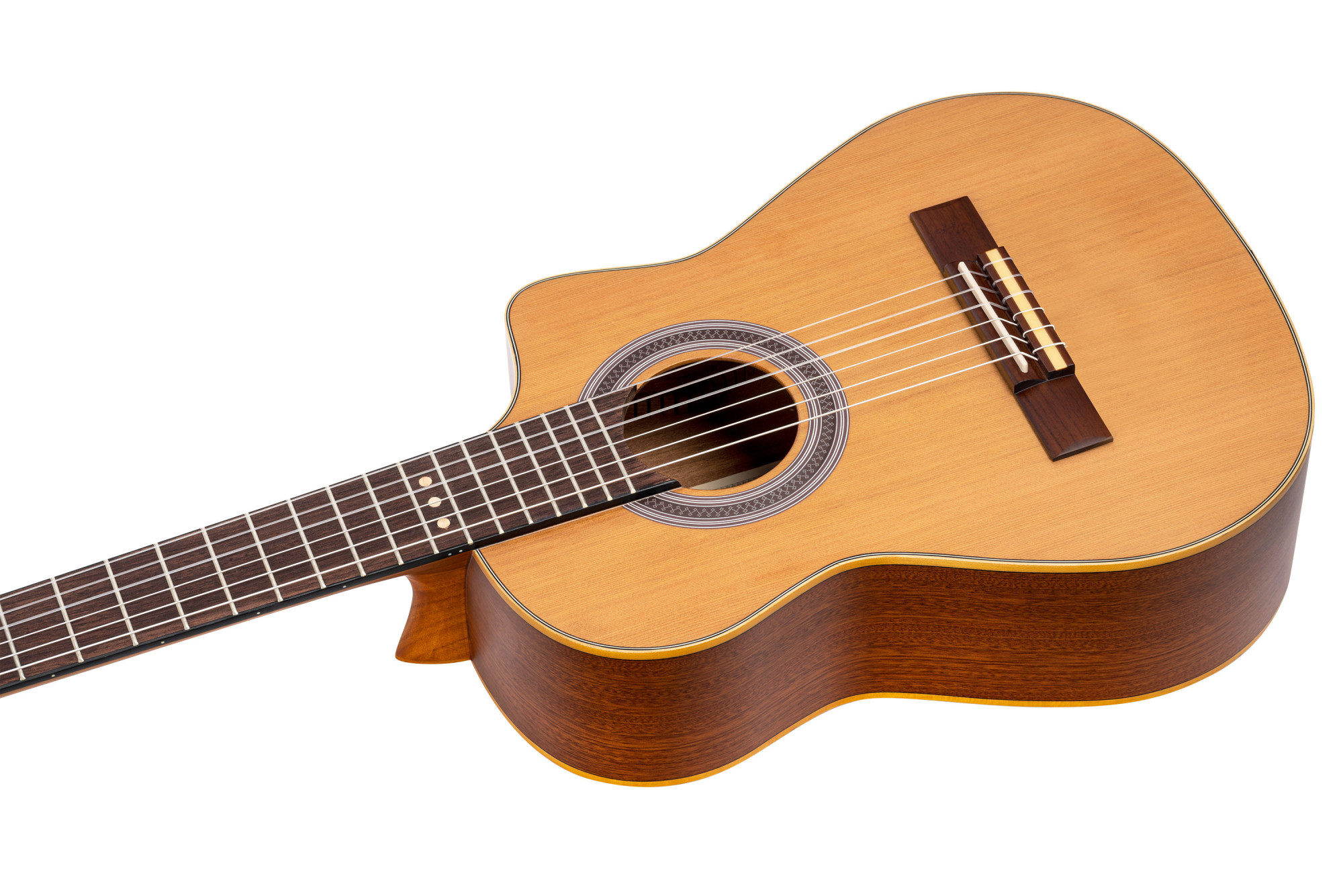 ORTEGA RQ39E - 2