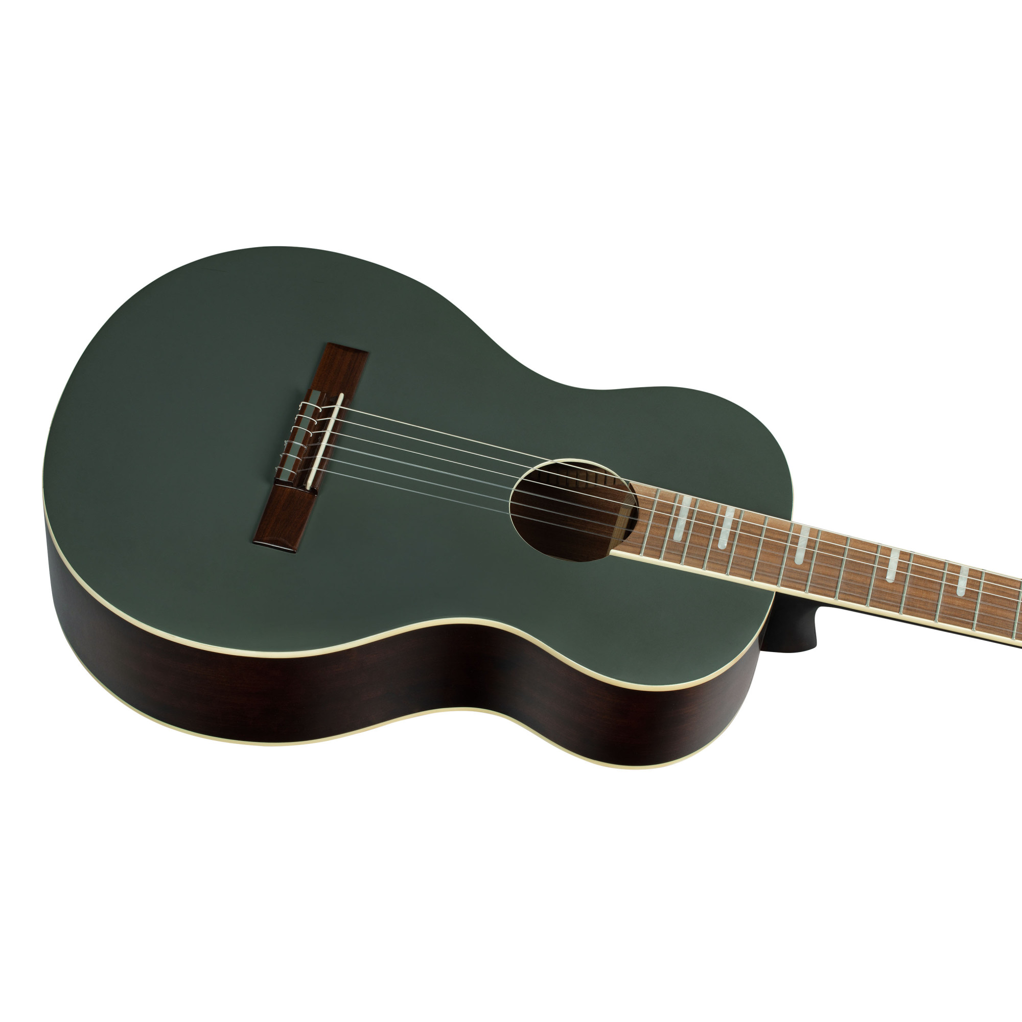 ORTEGA RRA-PLT - 2