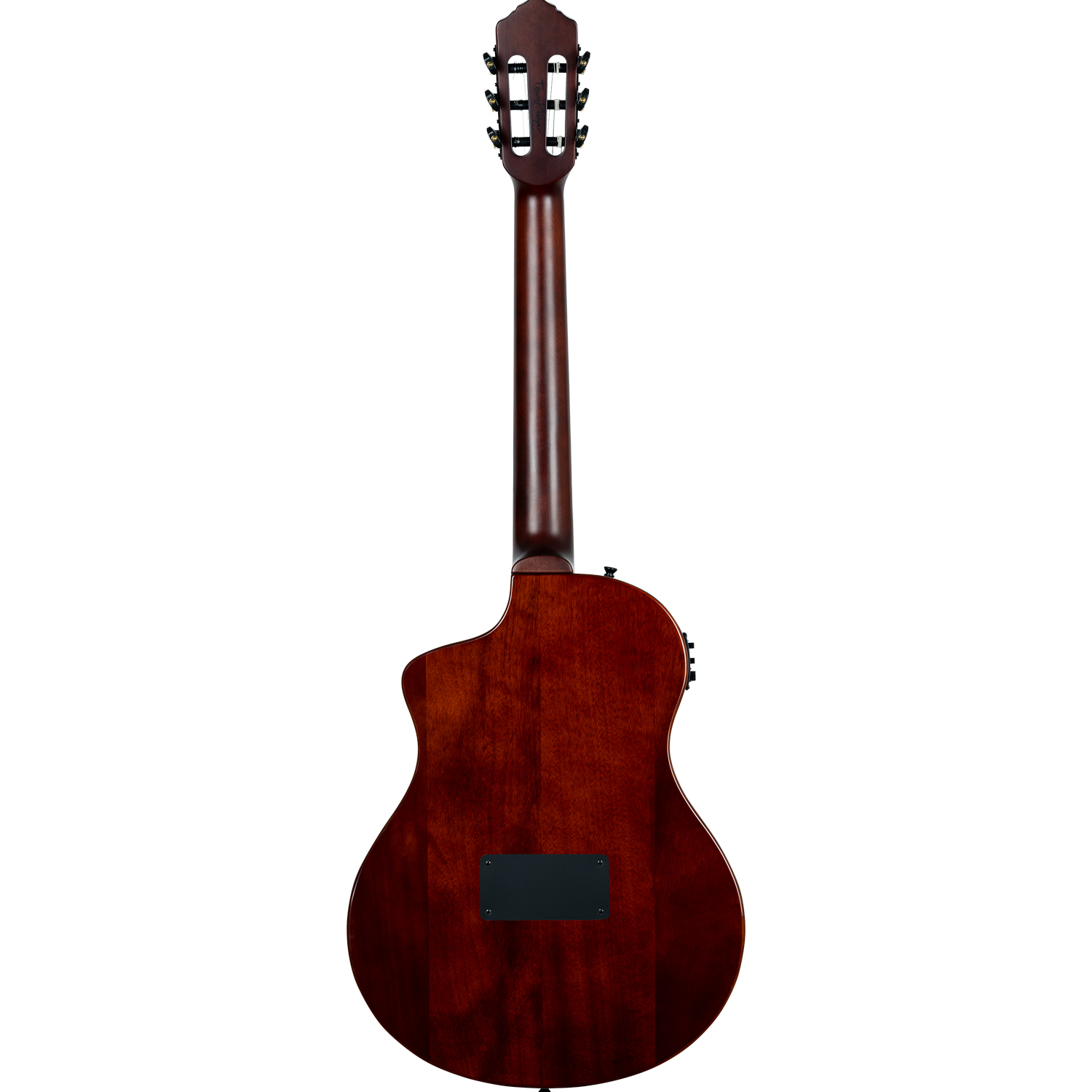 ORTEGA RTPSTD-NAT - 4