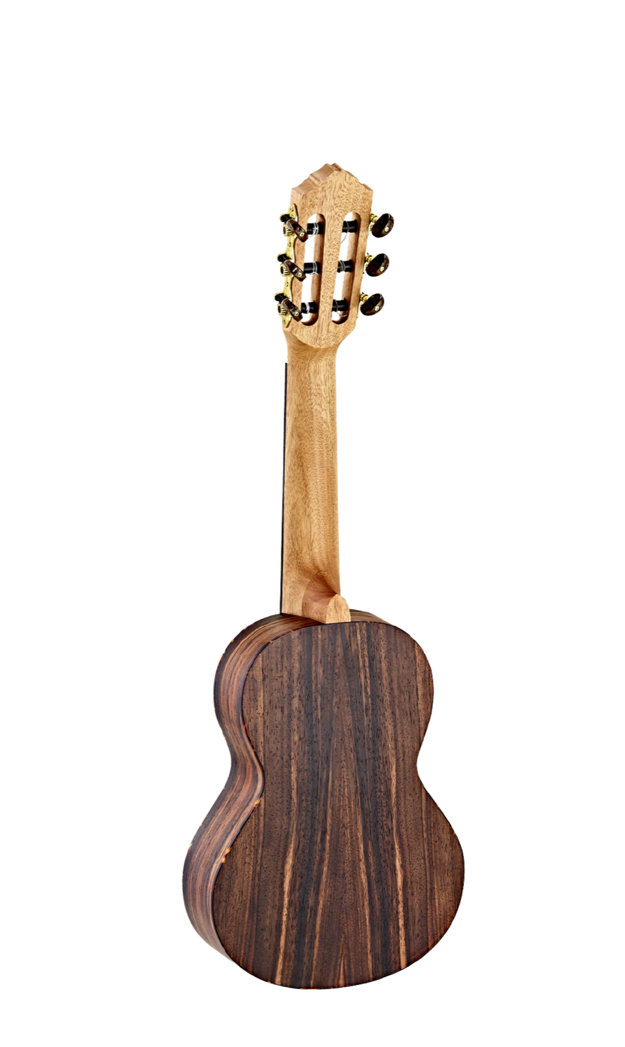 ORTEGA RGL5EB - 2