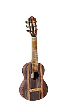 ORTEGA RGL5EB