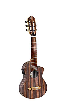 ORTEGA RGL5EB-CE