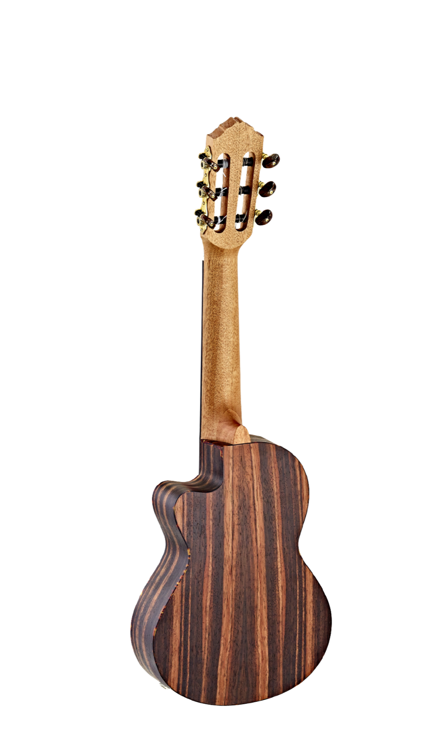ORTEGA RGL5EB-CE - 2