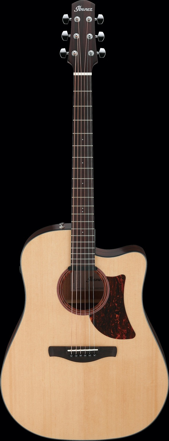 Ibanez AAD170CE-LGS - 7