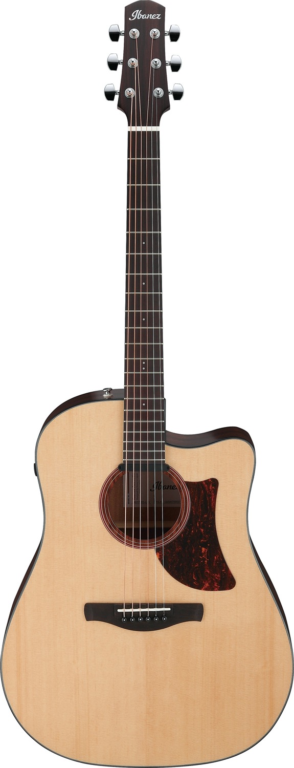 Ibanez AAD170CE-LGS - 6