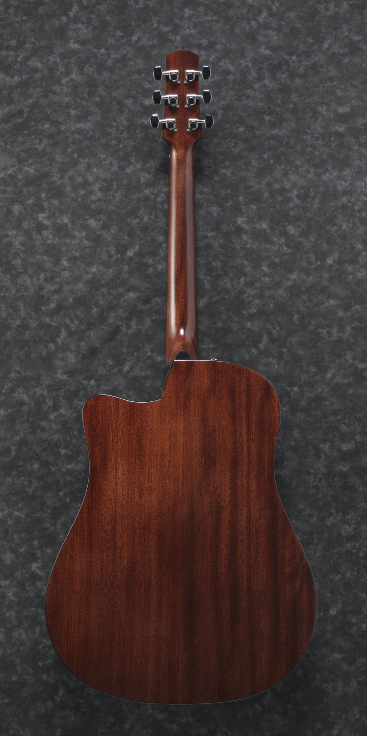 Ibanez AAD170CE-LGS - 8